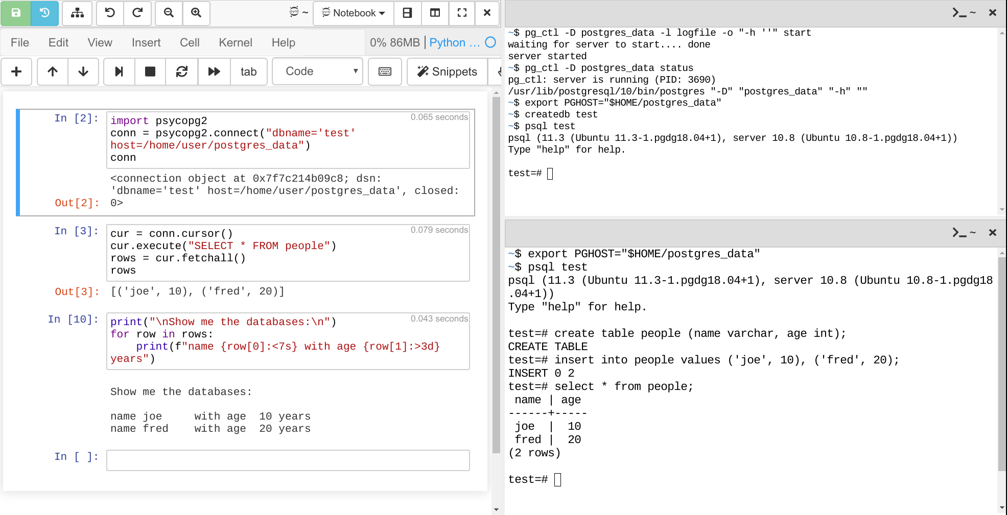 Using a PostgreSQL database via a terminal and a Jupyter notebook